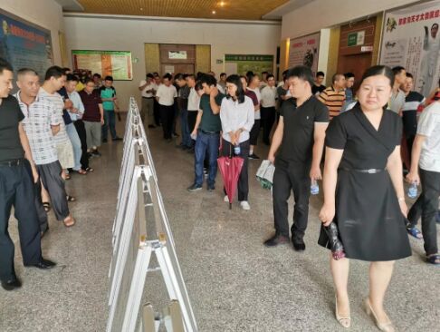 6731顶级游戏(官方)最新IOS/安卓版/手机版APP下载