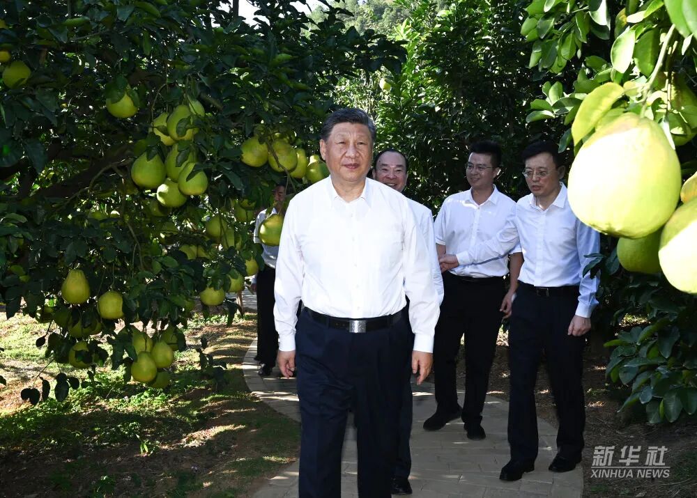 6731顶级游戏(官方)最新IOS/安卓版/手机版APP下载